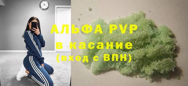 индика Елабуга
