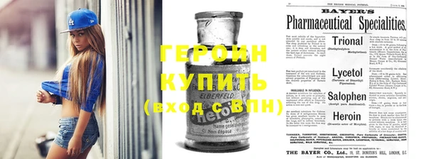индика Елабуга