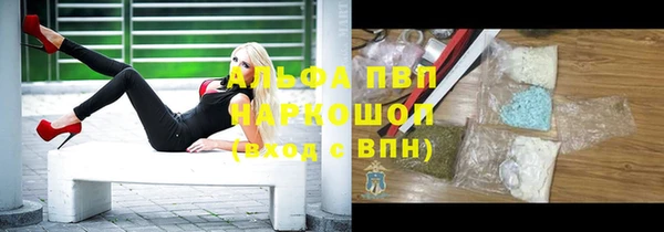 индика Елабуга