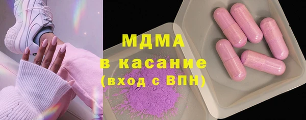 индика Елабуга