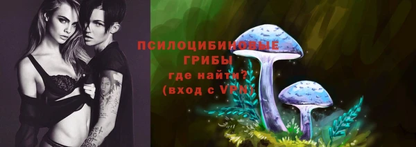 индика Елабуга