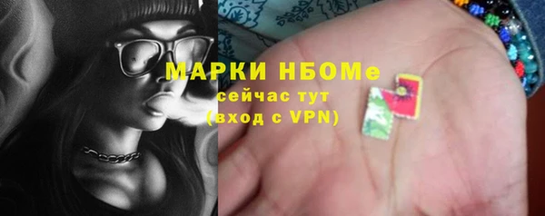 индика Елабуга