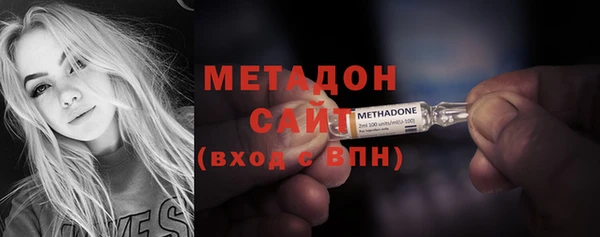 индика Елабуга