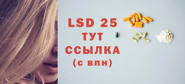 индика Елабуга