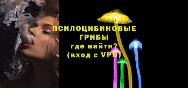 индика Елабуга