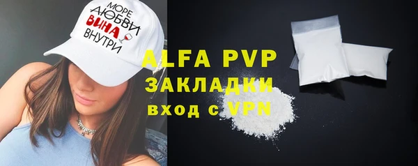 индика Елабуга