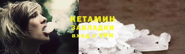 индика Елабуга