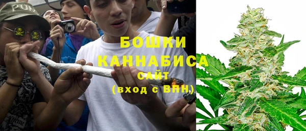 индика Елабуга