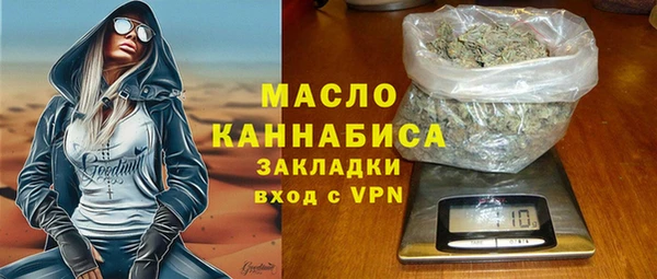 индика Елабуга