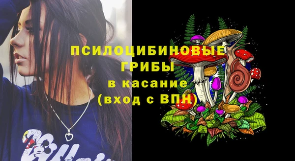 индика Елабуга