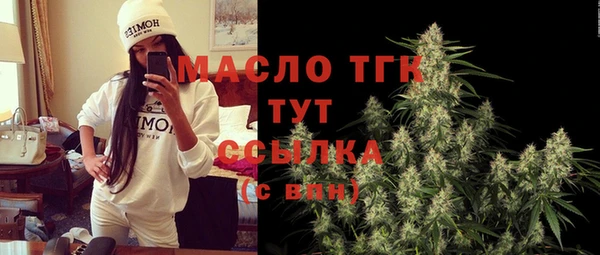 индика Елабуга