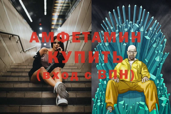 индика Елабуга