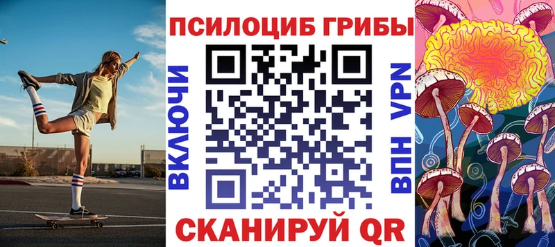 Галлюциногенные грибы MAGIC MUSHROOMS  цены   МЕГА ссылка  Элиста 